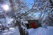 20090220-rosswald-0503.jpg