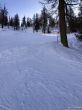 20200106-rothwald-8293.jpg