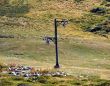 20090913-b-gd-st-bernard-0015.jpg