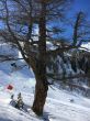 20160311-c-unterbaech-3495.jpg