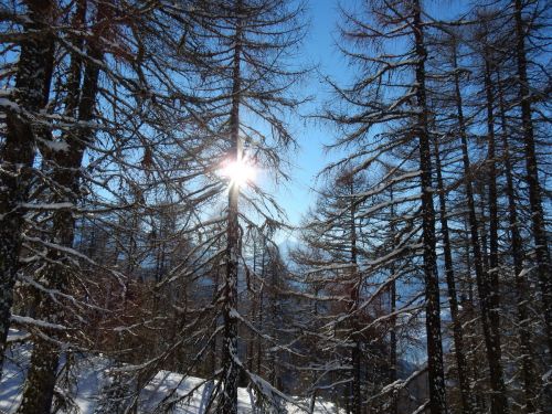 20170117-visperterminen-264.jpg