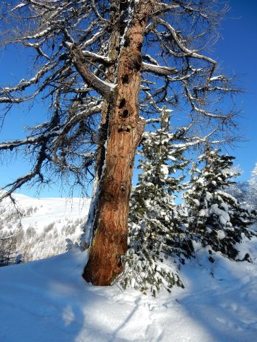 20170117-visperterminen-268.jpg