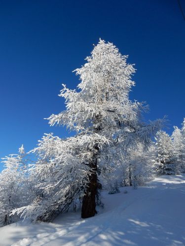 20170117-visperterminen-274.jpg