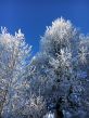 20170117-visperterminen-021.jpg