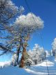 20170117-visperterminen-267.jpg