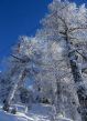 20170117-visperterminen-270.jpg