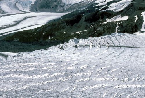 Juli 1982 (Foto: intermezzo)
