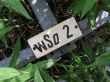 200406-buegel-junkyard-sedrun-076.jpg