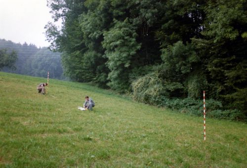 Wohl das Ausstecken einer Anlage, unbekannter Ort, undatiert
